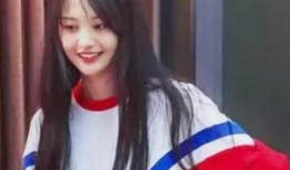 郑爽公司最新爆料,揭秘明星背后惊人内幕！”